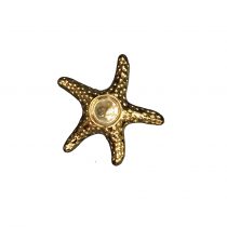 جاشمعی ستاره دریایی بزرگ طلایی