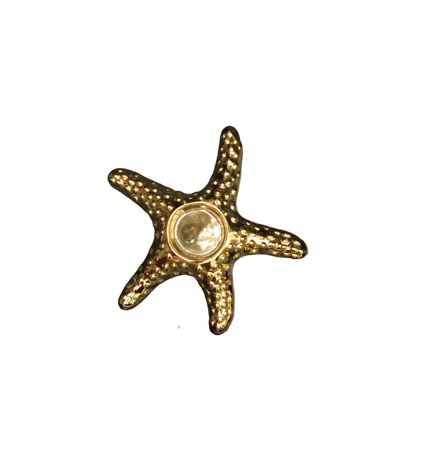 جاشمعی ستاره دریایی بزرگ طلایی