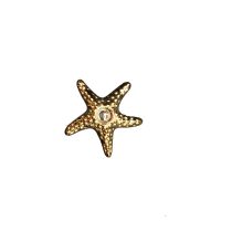 جاشمعی ستاره دریایی کوچک طلایی