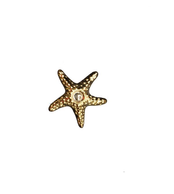 جاشمعی ستاره دریایی کوچک طلایی