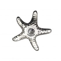 جاشمعی ستاره دریایی کوچک نقره ای